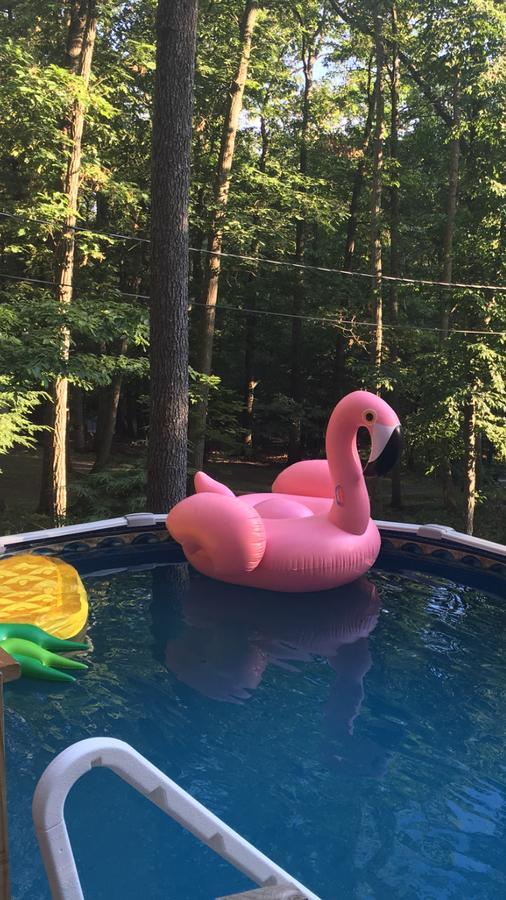 Pocono Cabin With Private Pool At Shawnee Mtn East Stroudsburg Exteriér fotografie